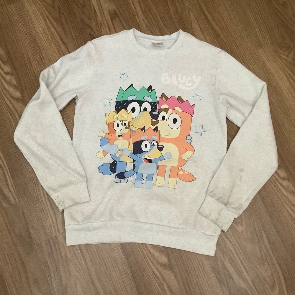 Bluey Family  Women Size XS Gray Graphic Sweatshirt, -Flaws Stains